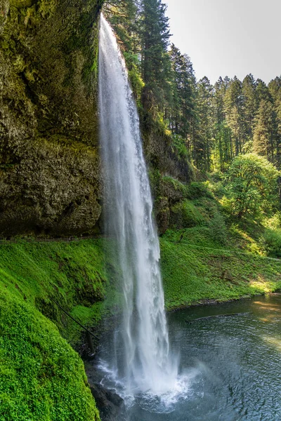 Uma Vista South Fall Silver Falls State Park Oregon State — Fotografia de Stock