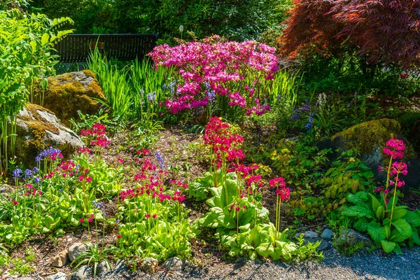 View Profusion Flowers Plants Garden Seatac Washington — Stock Photo, Image