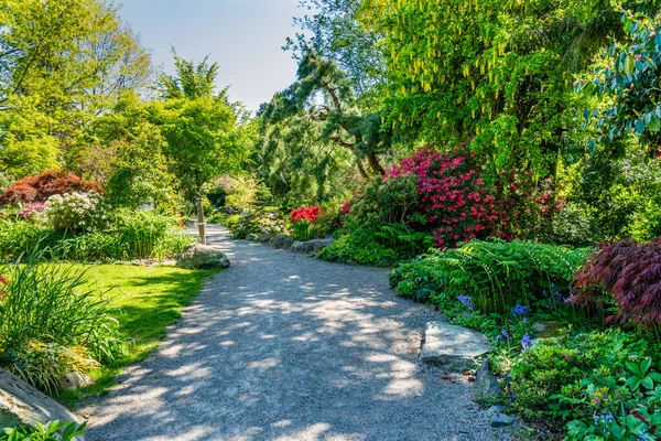 Bunga Mekar Sebuah Taman Seatac Washington Stok Foto Bebas Royalti