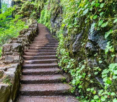Oregon eyaletindeki Silver Falls Eyalet Parkı 'ndaki Lower North Falls Şelalesi' nde basamaklar.