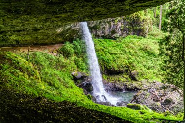 Oregon eyaletindeki Silver Falls Eyalet Parkı 'ndan Lower Notth Falls' un manzarası.