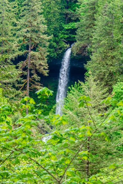 Une Vue Partiellement Cachée Lower North Falls Dans Parc État — Photo