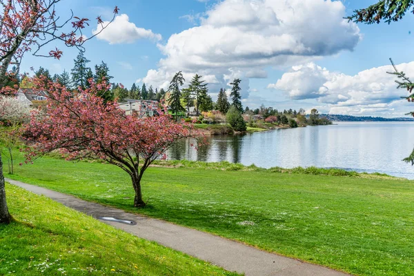 Uma Vista Costa Lago Washington Seattle Primavera — Fotografia de Stock