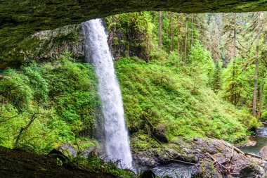 Oregon eyaletindeki Silver Falls Eyalet Parkı 'ndan Lower Notth Falls' un manzarası.