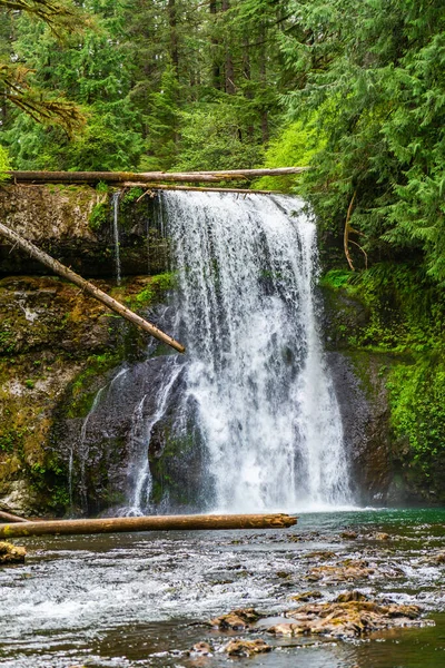 Вид Верхній Нот Фолс Парку Срібних Водоспадів Штату Орегон — стокове фото