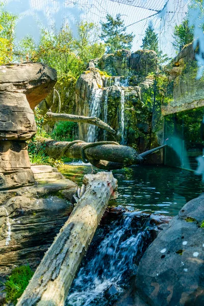 Vattenfall Vid Woodland Park Zoo Seattle Washington — Stockfoto