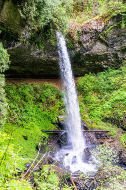 Oregon eyaletindeki Silver Falls Eyalet Parkı 'ndaki Lower North Falls' un manzara fotoğrafı..