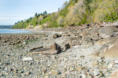 Kıyı tuzlu su State Park Des Moines, Washington'da bir görünümünü.
