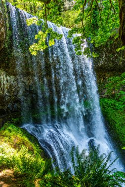 Oregon eyaletindeki Silver Falls Eyalet Parkı 'nda Lower South Falls' un manzara çekimi..