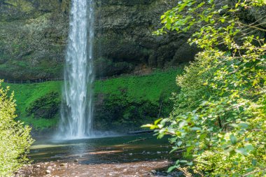 Güney Şelalesi 'nin aşağısındaki Oregon' daki Silver Falls State Parkl 'dan bir veiw..