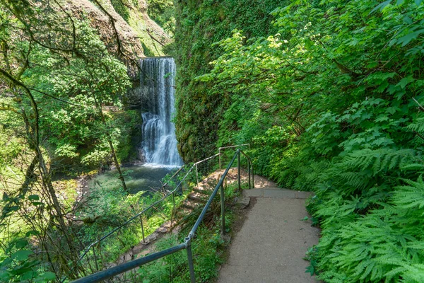 Вид Лестницу Нижний Южный Водопад Парке Силвер Фоллс Штате Орегон — стоковое фото