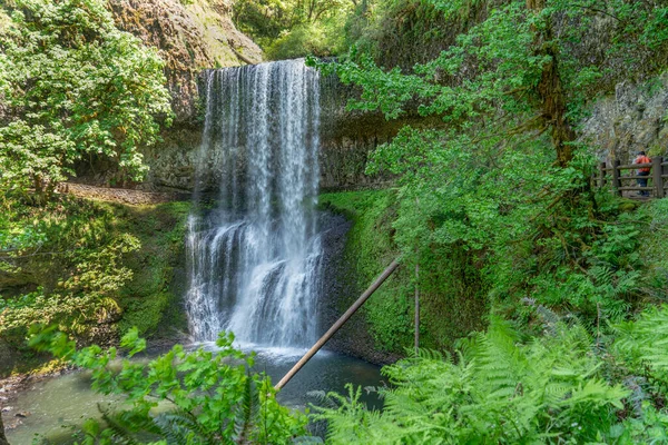 Landskapsbild Lower South Falls Vid Silver Falls State Park Oregon — Stockfoto