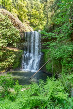 Oregon eyaletindeki Silver Falls Eyalet Parkı 'nda Lower South Falls' un manzara çekimi..