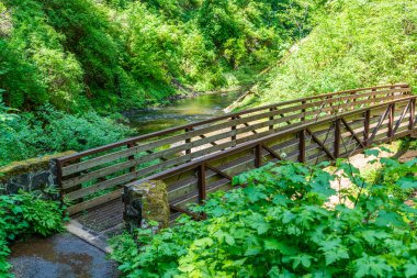 Oregon Silver Falls Eyalet Parkı 'ndaki Kanyon Patikası boyunca yürüyen bir köprü..