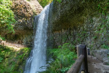 Oregon eyaletindeki Silver Falls Eyalet Parkı 'nda Lower South Falls' un manzara çekimi..