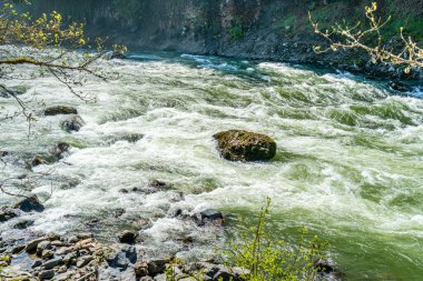 Whitewater Washington 'daki Snoqualmie Nehri' nde akıntıya kapıldı.