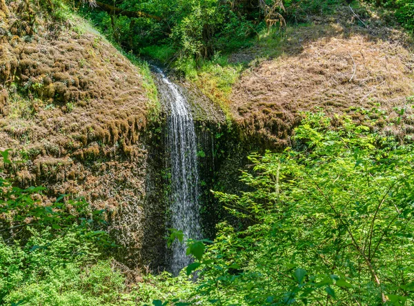 オレゴン州のシルバーフォールズ州立公園の滝の風景 — ストック写真