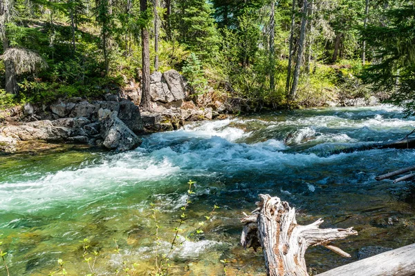 Vue Ruisseau Cristallin Long Col Chinook Dans État Washington — Photo