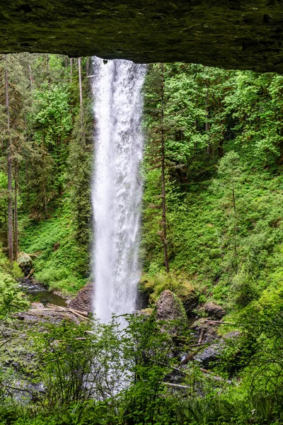 View Lower Notth Falls Silver Falls State Park Oregon State — Stock Photo, Image