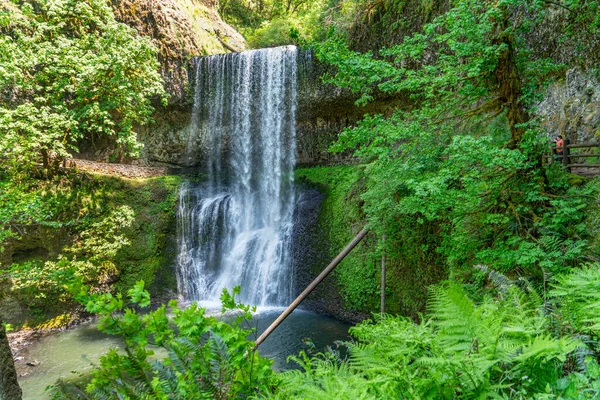 Пейзаж Нижнього Південного Водоспаду Парку Срібних Водоспадів Штату Орегон — стокове фото