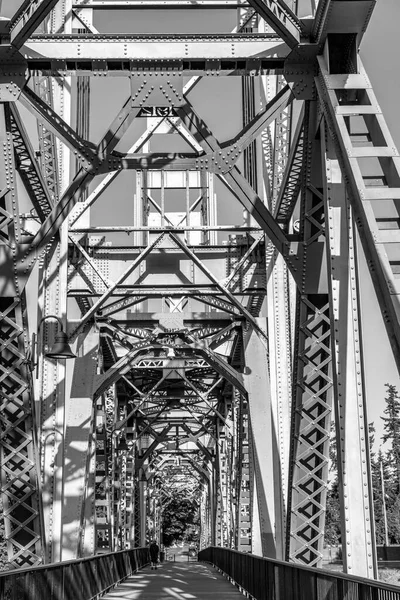 Pěší Most Vede Přes Řeku Saelmu Oregonu — Stock fotografie
