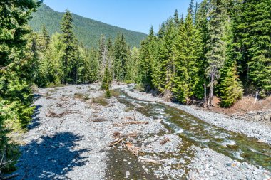 Washington 'daki Rainier Dağı' ndan akan Beyaz Nehir manzarası.
