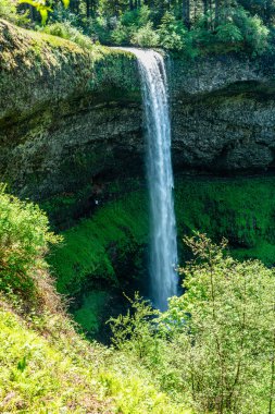 Oregon Eyaleti Silver Falls Eyalet Parkı 'nda bir Güney Sonbaharı manzarası.