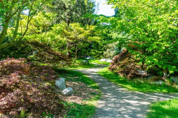 Шлях Протікає Через Сад Саут Сіетлі Community College Штат Вашингтон — стокове фото