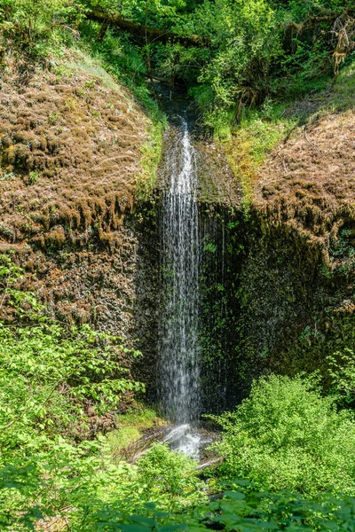 Landskapsbild Ett Vattenfall Vid Silver Falls State Park Oregon State — Stockfoto