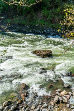 Whitewater Washington 'daki Snoqualmie Nehri' nde akıntıya kapıldı.