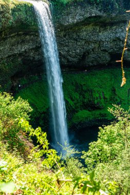 Oregon Eyaleti Silver Falls Eyalet Parkı 'nda bir Güney Sonbaharı manzarası.