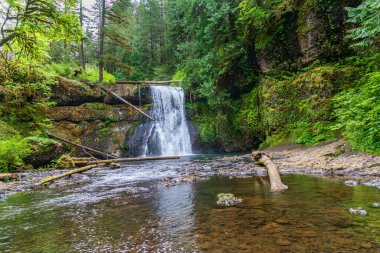 Oregon 'daki Silver Falls Eyalet Parkı' nda Notth Falls manzarası.