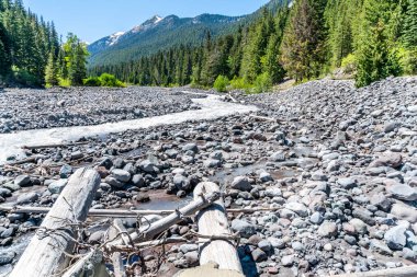 Washington 'daki Rainier Dağı' ndan akan Beyaz Nehir manzarası.