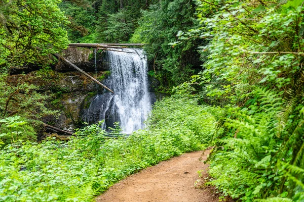 Een Onverharde Weg Leidt Naar Upper North Falls Bij Silver — Stockfoto