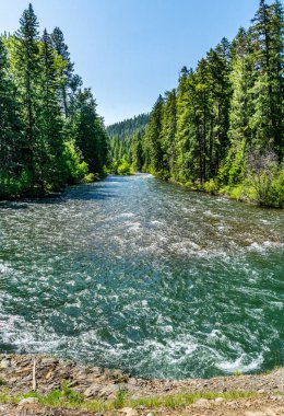 Washington 'daki Chinook Geçidi yakınlarındaki Naches Nehri manzarası..