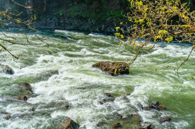 Whitewater Washington 'daki Snoqualmie Nehri' nde akıntıya kapıldı.