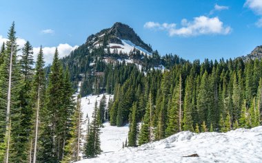 Wasihington 'da Rainier Dağı yakınlarında kayalık bir tepe manzarası.
