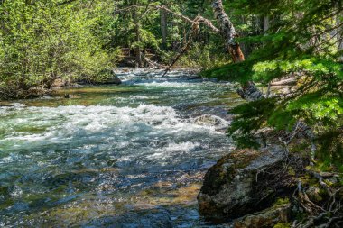 Bir yaya köprüsü Salem, Oregon 'da bir nehri kapsar..