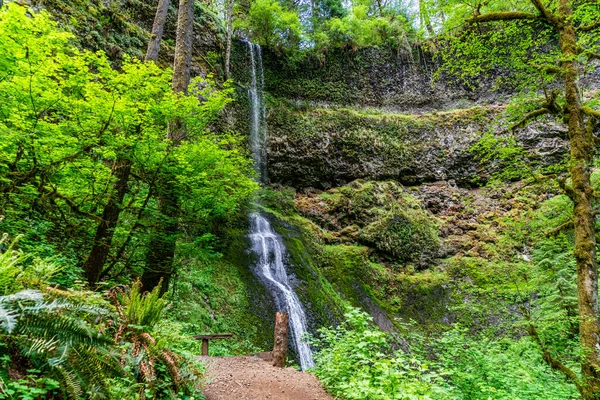 Τοπίο Πλάνο Του Twin Falls Στο Silver Falls State Park — Φωτογραφία Αρχείου