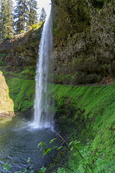 Complete View South Falls Silver Falls State Park Oregon State — Stock Photo, Image