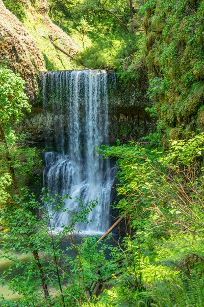 Landscape Shot Lower South Falls Silver Falls State Park Oregon — Stock Photo, Image