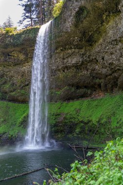 Oregon eyaletindeki Silver Falls Eyalet Parkı 'ndaki South Falls' un tam manzarası..