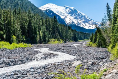 Washington 'daki Rainier Dağı' ndan akan Beyaz Nehir manzarası.