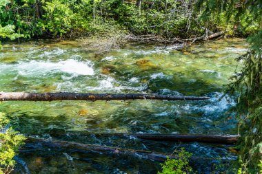 Washington 'daki Chninook Geçidi boyunca kristal berrak bir dere manzarası..