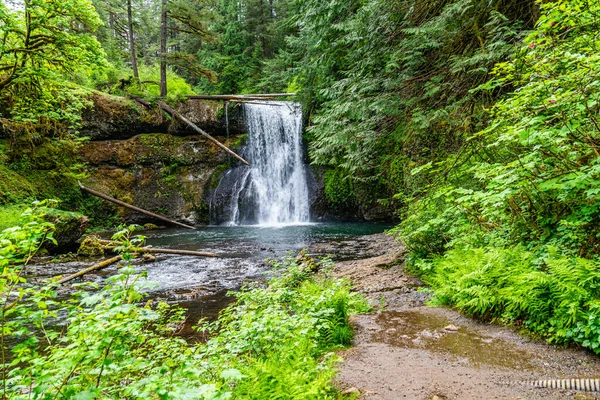 Uitzicht Upper Notth Falls Bij Silver Falls State Park Oregon — Stockfoto