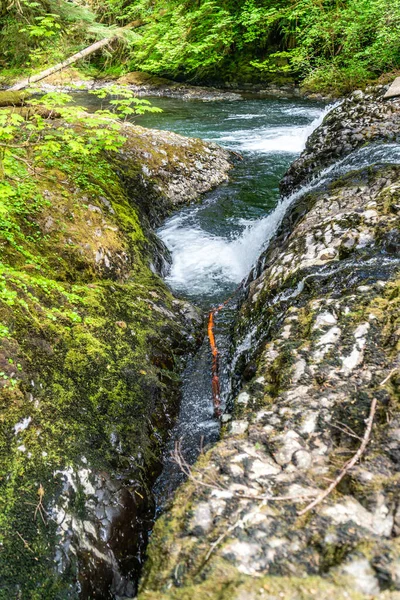 オレゴン州のシルバーフォールズ州立公園でのシルバークリークの風景 — ストック写真