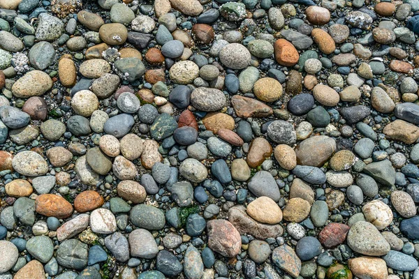 Ένα Background Shot Από Πολύχρωμες Μικτές Ακτές Βράχων Στο West — Φωτογραφία Αρχείου