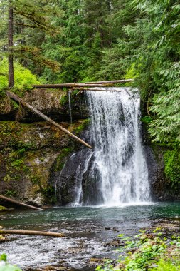 Oregon 'daki Silver Falls Eyalet Parkı' nda Notth Falls manzarası.