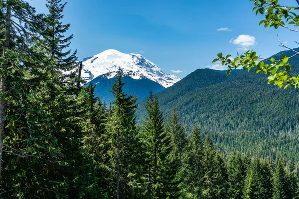 Uma Vista Monte Rainier Rodovia 410 Estado Washington — Fotografia de Stock