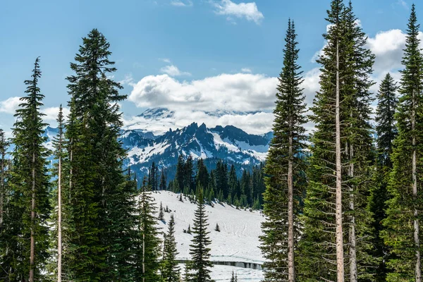 Nuvens Parcialmente Cobrem Mount Rainier Estado Washington — Fotografia de Stock